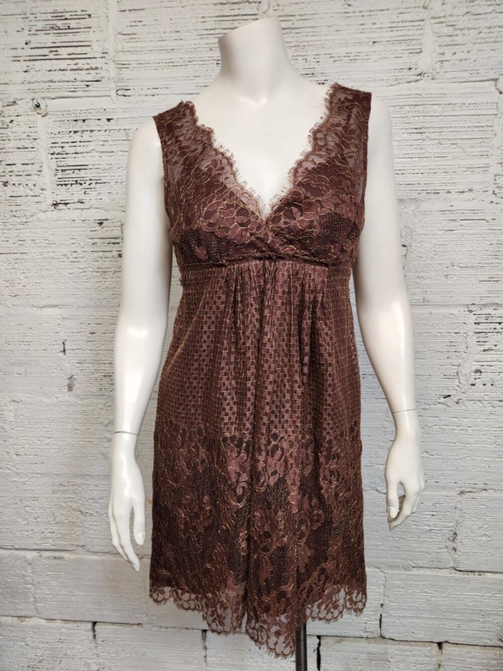 BCBGMaxazria Size 4 Brown Gold Lace Sleeveless Empire Dress